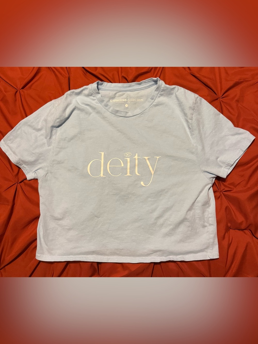 Light Blue 'deity' Crop Tee -